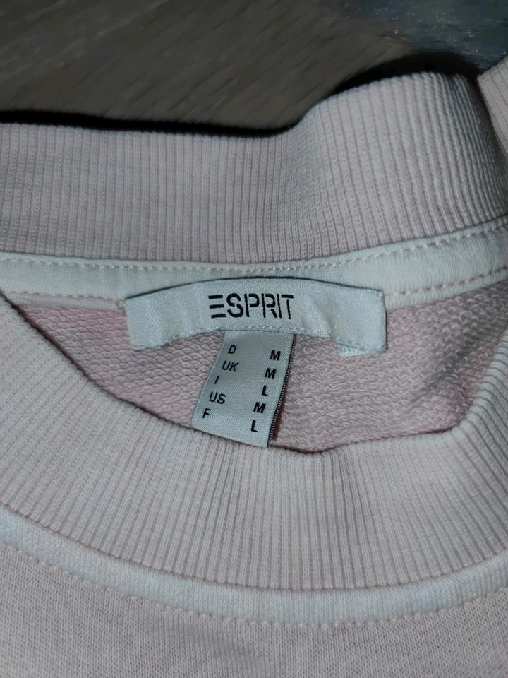 Esprit Sweatshirt Rose washed M/38 oversized Rundhals in Bad Kreuznach