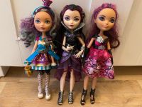 Ever After High Puppen Nordrhein-Westfalen - Lüdenscheid Vorschau