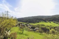 Wohnen mit Grün: EFH mit Potenzial für ZFH und toller Aussicht in naturnaher Lage von Oberzent Hessen - Oberzent Vorschau