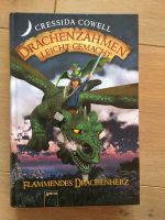 Drachenzähmen leicht gemacht| Flammendes Drachenherz Bayern - Rattelsdorf Vorschau