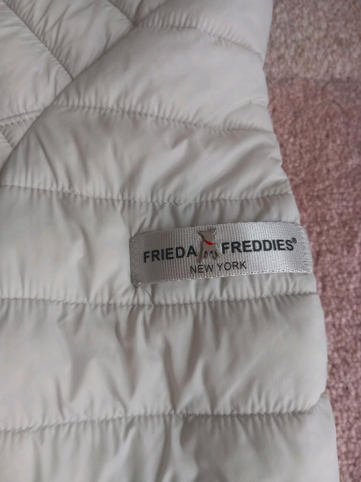 Frieda & Freddies Jacke grau Gr  36 in Haltern am See
