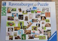 Ravensburger Puzzle  1500 Teile Nordrhein-Westfalen - Krefeld Vorschau