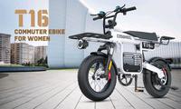 Elektrofahrrad Pankow - Prenzlauer Berg Vorschau