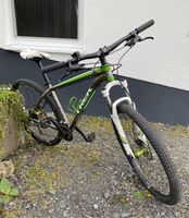 Trek XCALIBER 5 29Zoll Hessen - Höchst im Odenwald Vorschau