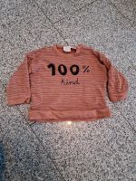 Kinder Pullover ZARA 68 Nordrhein-Westfalen - Breckerfeld Vorschau