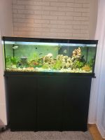Aquatlantis aquarium kombination splendid 300 Bayern - Augsburg Vorschau