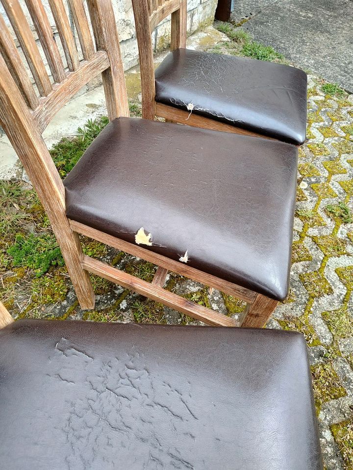 Holzstühle 6 Stück Leder in Giengen an der Brenz
