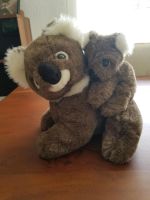 Koalas, Mama mit Baby Baden-Württemberg - Mühlhausen-Ehingen Vorschau