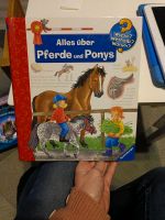 Wieso Weshalb Warum 4-7Jahre Pferde &Ponys Hessen - Kassel Vorschau