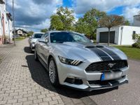 Ford Mustang 2.3 EcoBoost FRISCHER SERVICE + TÜV Rheinland-Pfalz - Orenhofen Vorschau