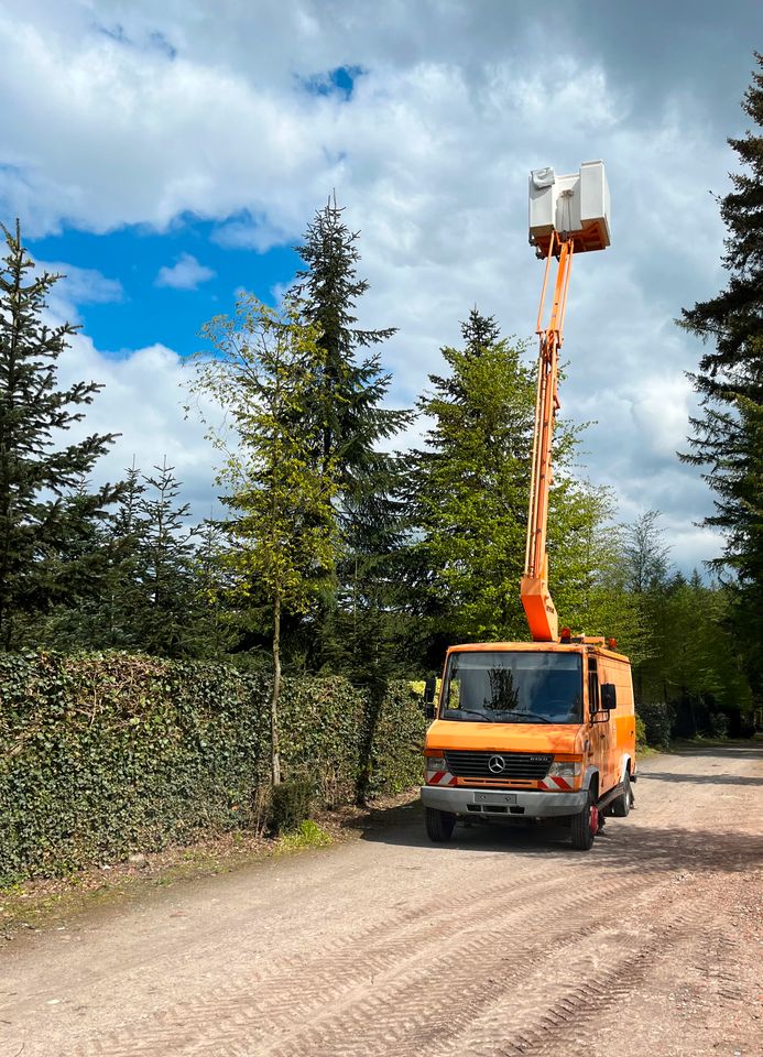 Ruthmann K126 Steiger Hubsteiger Hubarbeitsbühne 12,6m Elektriker in Cloppenburg