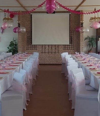 Nebelmaschine VERMIETUNG mieten ausleihen Party Geburtstag in Sangerhausen