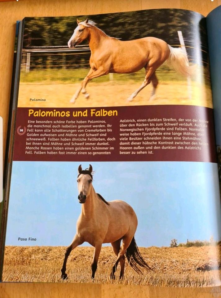 Buch Traumpferde - für Kinder in Aachen