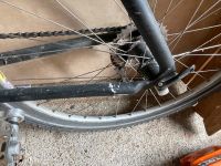 Cannondale M900 Hessen - Wetter (Hessen) Vorschau