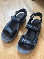 Lurchi Sandalen Jungen Gr 38 Nordrhein-Westfalen - Gelsenkirchen Vorschau