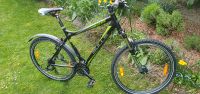 MTB Bulls Sharptail Street 26 Zoll Nordrhein-Westfalen - Meckenheim Vorschau