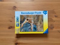 Puzzle Kleiner Löwe Nordfriesland - Husum Vorschau