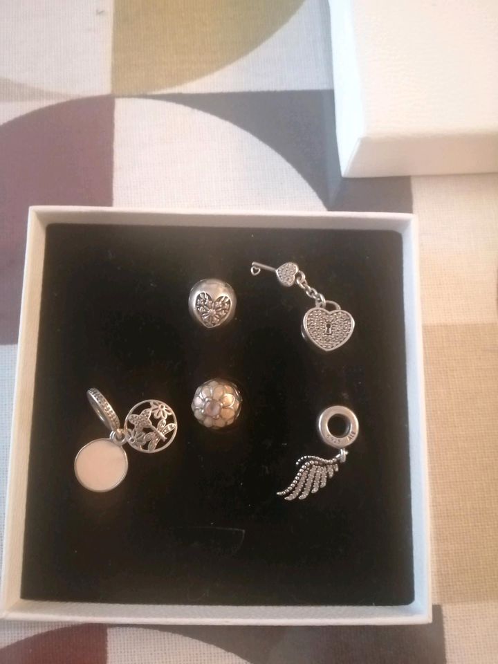 Pandora Charms, Clips Herz, Engelsflügel, Libelle Anhänger in Neuwied