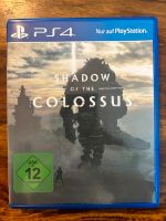 Videospiel Shadow of the colossus PS4 Bayern - Eltmann Vorschau