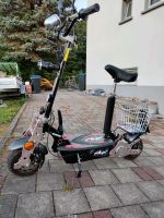 E Scooter 2016 Baden-Württemberg - Uhldingen-Mühlhofen Vorschau