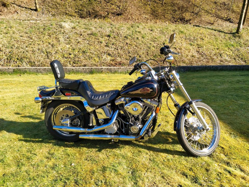 Harley Davidson Softail Custom FXST-C in Altenbeken