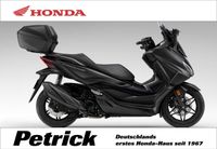 Honda NSS Forza 350 Black #24 Smart Top Case - sofort Altona - Hamburg Bahrenfeld Vorschau
