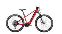 CONWAY Elektro-MTB Hardtail „Cairon S 6.0“ Diamant 29" rot/grau Hessen - Heppenheim (Bergstraße) Vorschau