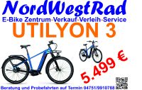 E-Bike VICTORIA "UTILYON 3" Mod. 24 - 180 KG Gesamtgewicht! Niedersachsen - Otterndorf Vorschau