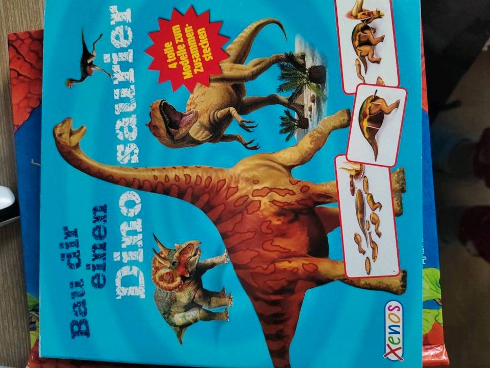 Dinosaurier Bücher Set basteln Kratzbilder Dinos T-Rex Pop Up 3D in Calau