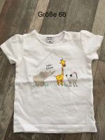 T-Shirt, Größe 68, neu!!! Sachsen-Anhalt - Eilsleben Vorschau