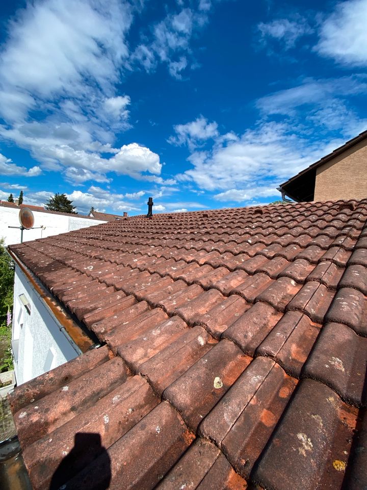 Dachreinigung-Regenrinnen & Terrassenreinigung und Gartenpflege in Altlußheim