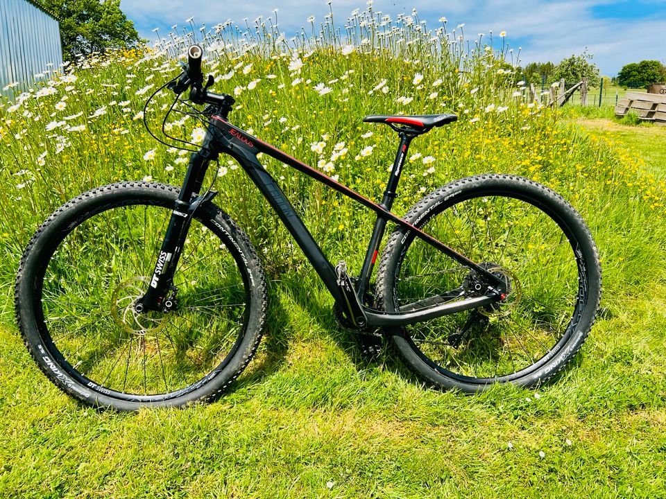 Mountainbike Hardtail Cabon - Ultra leicht in Nümbrecht