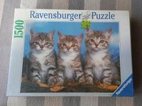 Ravensburger Puzzle 1500 Teile Nordrhein-Westfalen - Leverkusen Vorschau