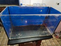 Aquariumbecken  112l 35x40x80 Nordrhein-Westfalen - Beelen Vorschau