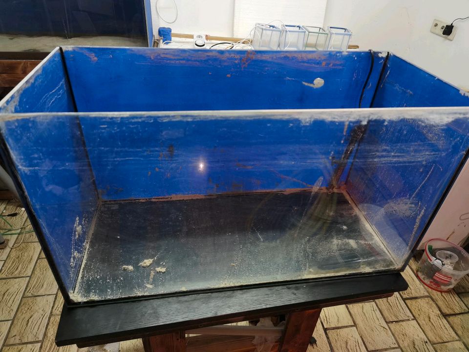 Aquariumbecken  112l 35x40x80 in Beelen