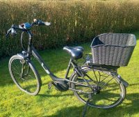 E-Bike, Ebike, Elektrofahrrad, Fahrrad, Pedelec Gudereit EC-428 Niedersachsen - Wittmund Vorschau