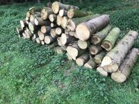 Brennholz Holz Feuerholz Kaminholz Nordrhein-Westfalen - Steinfurt Vorschau