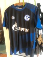 Schalke 04 Trainings Jersey Berlin - Steglitz Vorschau