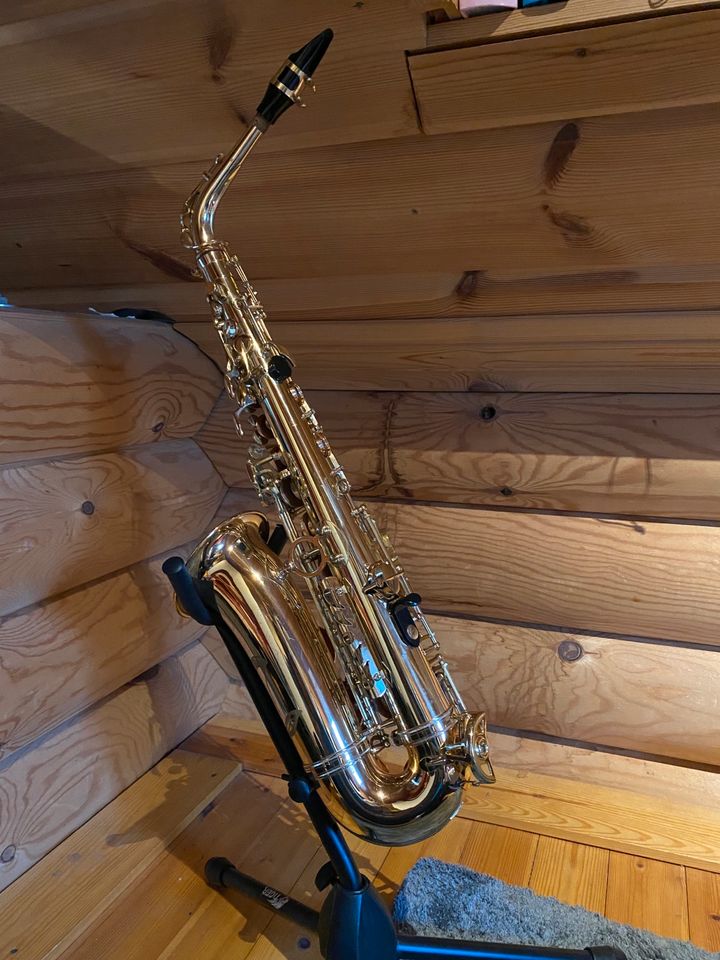 Alt Saxophon Expression in Hopsten