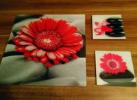 Glasbild Blumen, 50*50 und 20*20, Wandbild Bayern - Megesheim Vorschau