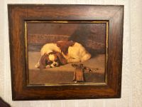 Cavalier King Charles Spaniel Bild Nordrhein-Westfalen - Krefeld Vorschau