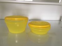 Tupperware Dosen 2-er Set Nordrhein-Westfalen - Hennef (Sieg) Vorschau