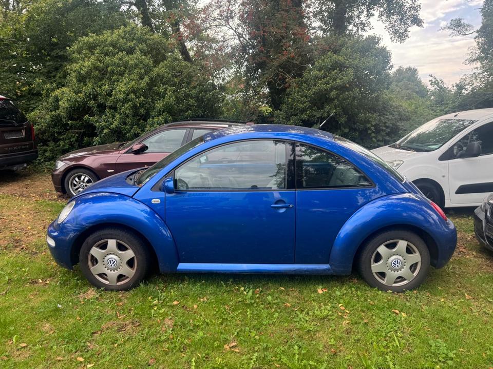 Volkswagen NEW BEETLE 1.4 16V*KLIMA*SHZ*NSW*LM*GJR*HU10/24* in Friedeburg