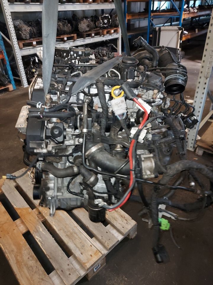 Motor Ford Focus 1,8 TDDI C9DB in Duisburg