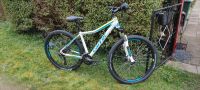 Mountainbike Fahrrad Carver PHT120 Lady V9 Sachsen - Radeburg Vorschau