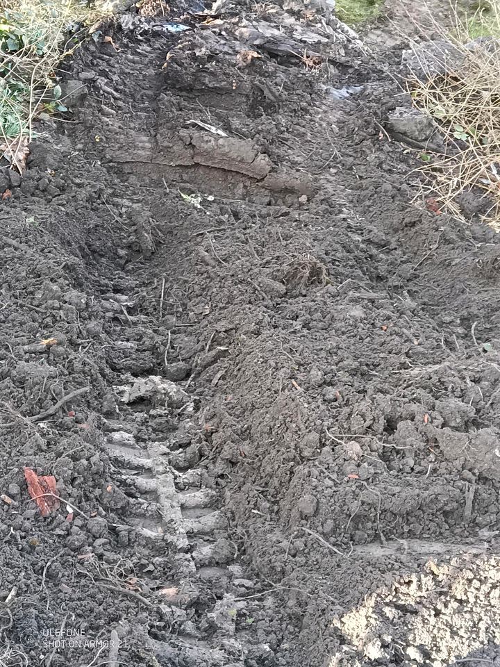 Wir bieten professionelle Gartengestaltung Gartenbau in Altena