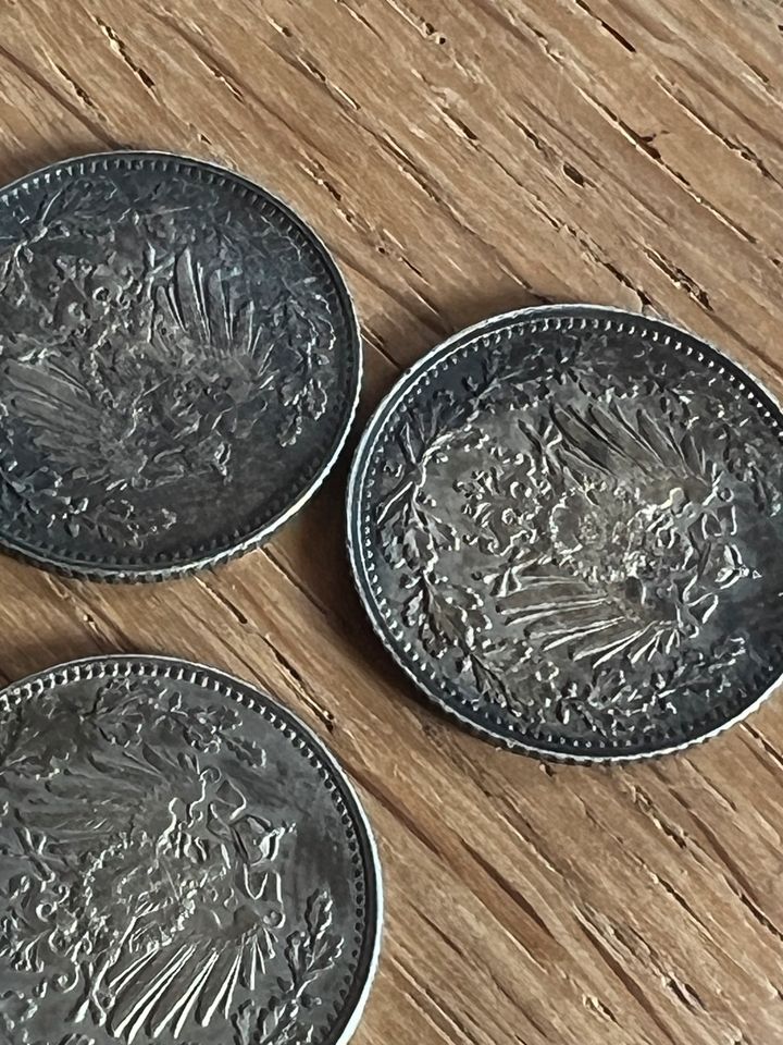 Bodenfund Münzen in Ebersbach/Sachsen