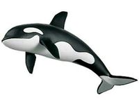 Orca von Schleich Baden-Württemberg - Heidelberg Vorschau