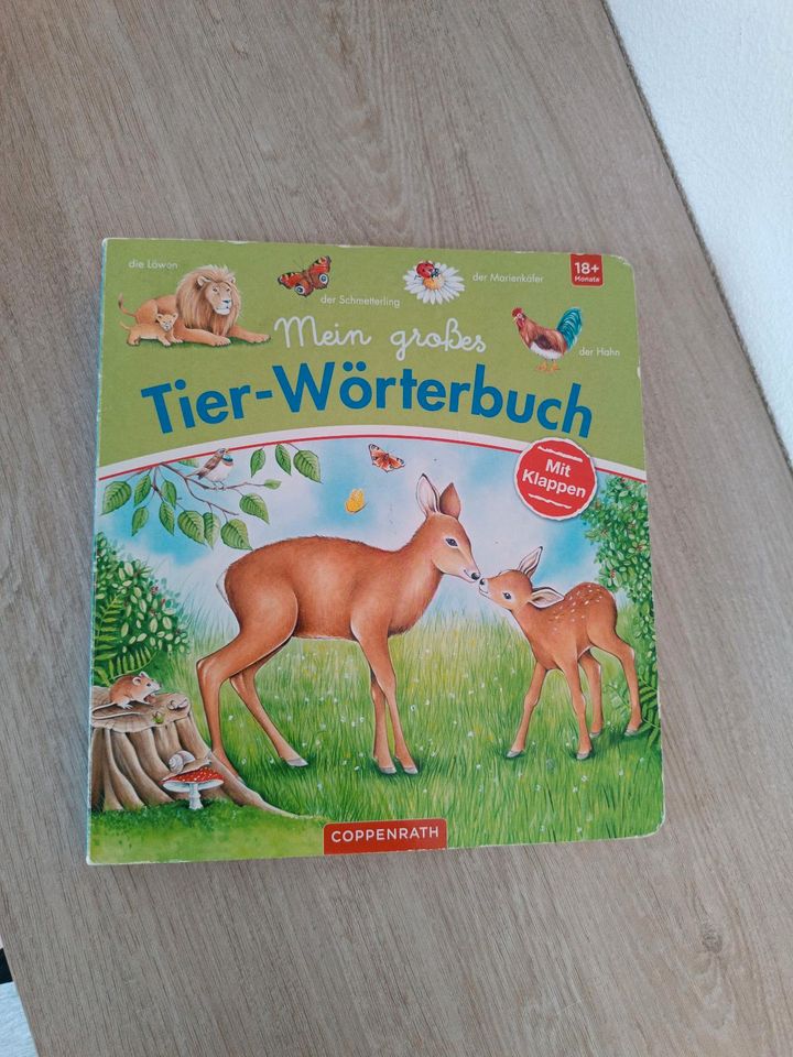 Buch Mein großes Tier-Wörterbuch in Karlstein