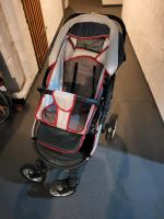 Kinderwagen Schleswig-Holstein - Flensburg Vorschau